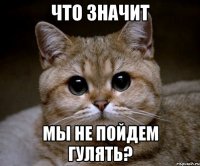 Что значит мы не пойдем гулять?