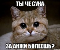 Ты че сука За Анжи болеешь?