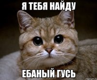 я тебя найду ебаный гусь