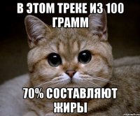 В этом треке из 100 грамм 70% составляют жиры