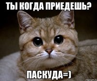 ты когда приедешь? паскуда=)