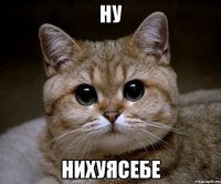 Ну нихуясебе