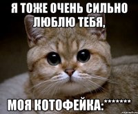 я тоже очень сильно люблю тебя, моя котофейка:*******