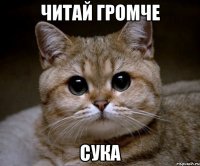 Читай громче Сука