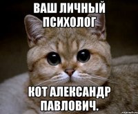 Ваш личный психолог кот Александр Павлович.