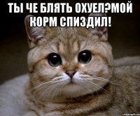 Ты че блять охуел?Мой корм спиздил! 