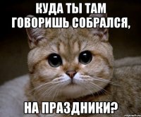 КУДА ТЫ ТАМ ГОВОРИШЬ СОБРАЛСЯ, НА ПРАЗДНИКИ?