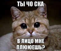 ты чо ска в лицо мне плююешь?