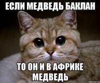 если медведь баклан то он и в Африке медведь