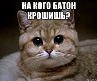 на кого батон крошишь? 