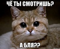 чё ты смотришь? А бля??