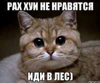 рах хуи не нравятся иди в лес)