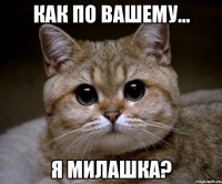 Как по вашему... я милашка?