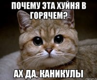 Почему эта хуйня в горячем? Ах да, каникулы