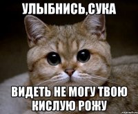 улыбнись,сука видеть не могу твою кислую рожу