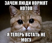 ЗАЧЕМ ЛЮДИ КОРМЯТ КОТОВ Я ТЕПЕРЬ ВСТАТЬ НЕ МОГУ