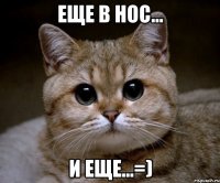 Еще в нос... И еще...=)