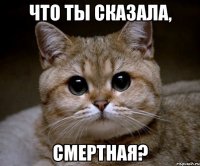 чТО ТЫ СКАЗАЛА, сМЕРТНАЯ?