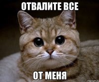 отвалите все от меня