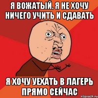 Я вожатый. Я не хочу ничего учить и сдавать Я хочу уехать в лагерь прямо сейчас