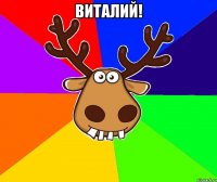 ВиталиЙ! 