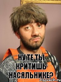 ну те ты критишь насяльнике?