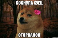 соснула хуец оторвался