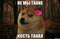 Не мы такие Кость такая