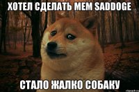 Хотел сделать мем saddoge Стало жалко собаку