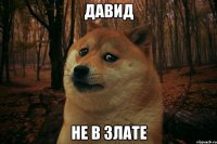 Давид не в Злате