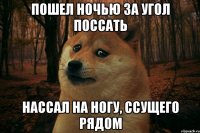 Пошел ночью за угол поссать Нассал на ногу, ссущего рядом