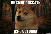 Не смог поссать из-за стояка