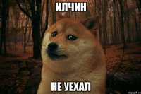 илчин не уехал