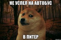 не успел на автобус в питер