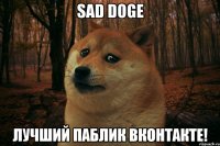 sad doge лучший паблик вконтакте!