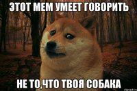 ЭТОТ МЕМ УМЕЕТ ГОВОРИТЬ НЕ ТО,ЧТО ТВОЯ СОБАКА