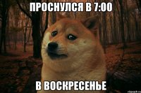 ПРОСНУЛСЯ В 7:00 В ВОСКРЕСЕНЬЕ