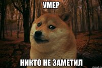 умер никто не заметил