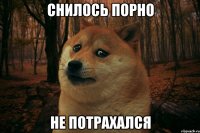 Снилось порно Не потрахался