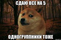 сдаю все на 5 одногруппники тоже