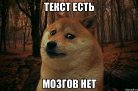 Текст есть Мозгов нет