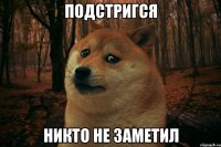 Подстригся никто не заметил