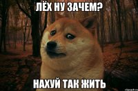 Лёх ну зачем? нахуй так жить