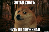 ХОТЕЛ СПАТЬ ЧУТЬ НЕ ПОУЖИНАЛ