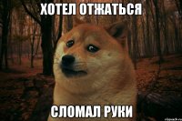 Хотел отжаться Сломал руки