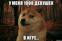 У меня 1000 девушек В игре...