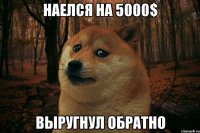 Наелся на 5000$ Выругнул обратно