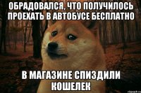 Обрадовался, что получилось проехать в автобусе бесплатно в магазине спиздили кошелек