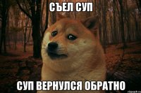 Съел суп Суп вернулся обратно