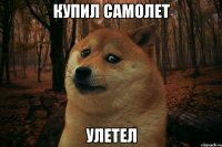 Купил самолет Улетел